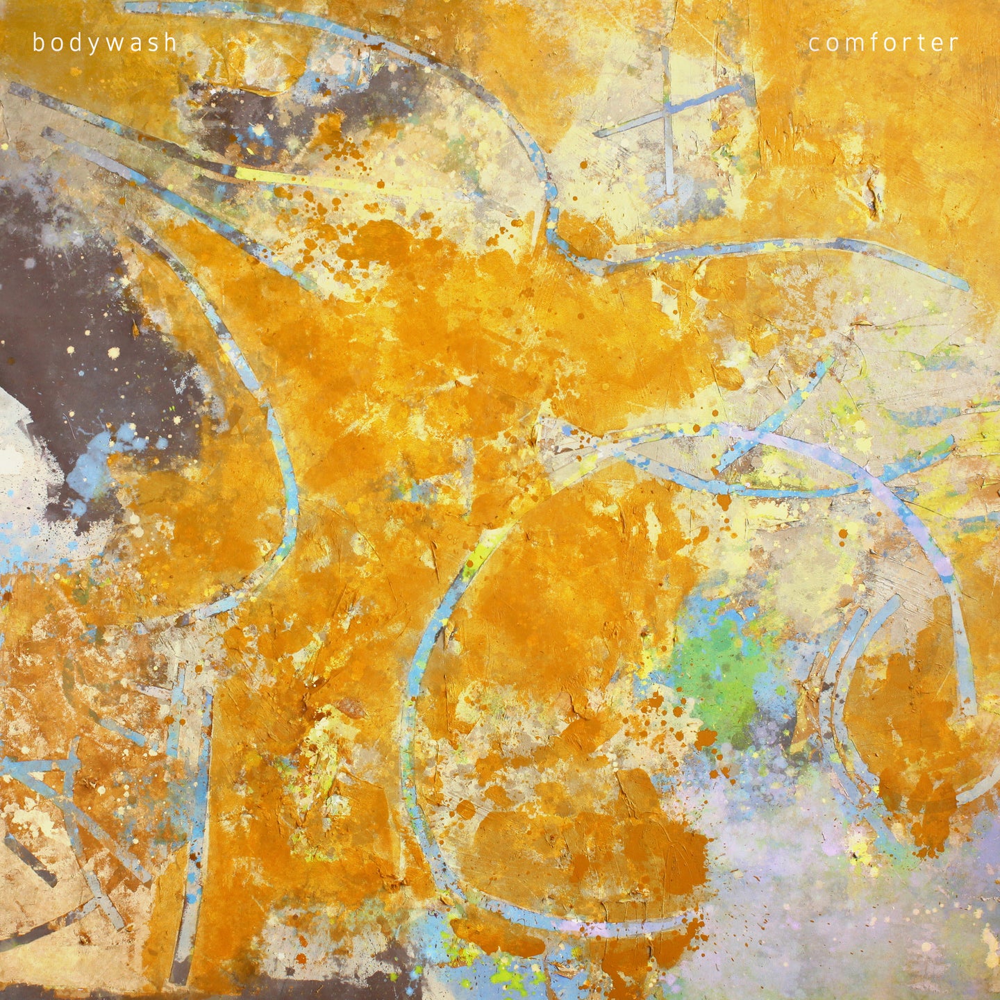 Fat Possum - Comforter Vinyl & Merch | Fat Possum Records