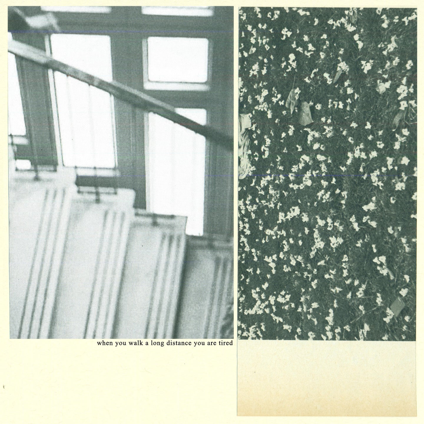 Fat Possum - When You Walk A Long Distance You Are Tired Vinyl & Merch | Fat Possum Records