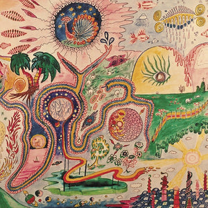 Fat Possum - Wondrous Bughouse Vinyl & Merch | Fat Possum Records